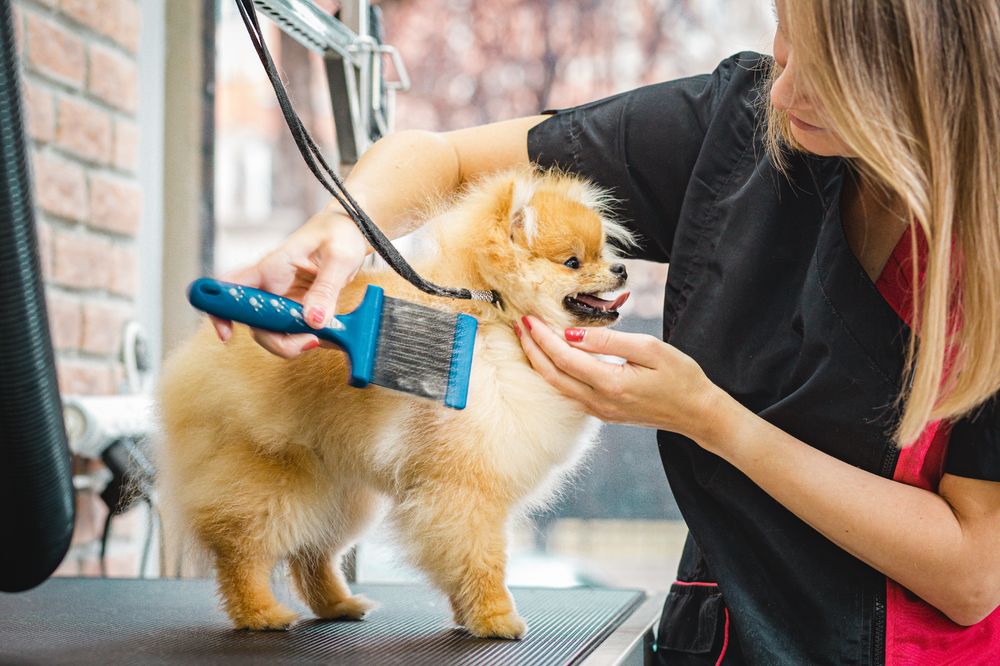 De-Shedding Treatment